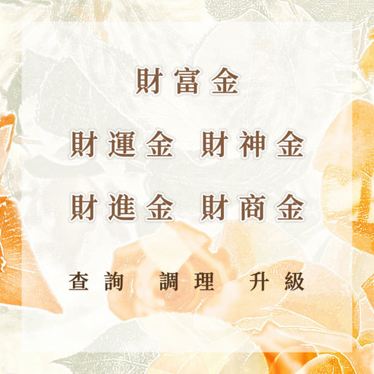 財富金｜財運金｜財神金｜財進金｜財商金｜查詢 調理 升級