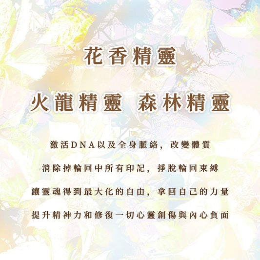 精灵｜花香、火龙、森林｜激活DNA以及全身脉络，改变体质；消除掉轮回中所有印记，挣脱轮回束缚，灵魂得到最大化的自由，拿回自己的力量；提升精神力和修复一切心灵创伤与内心负面